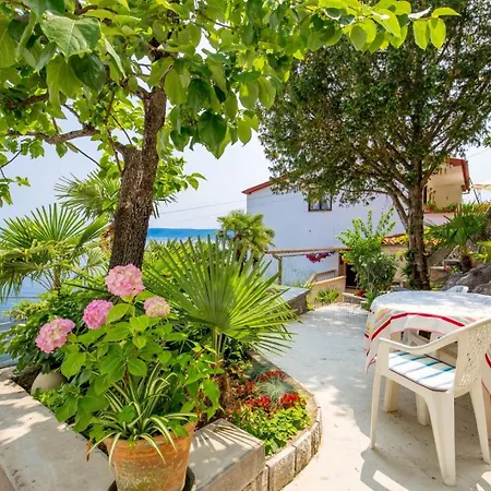 7766b Apartman
